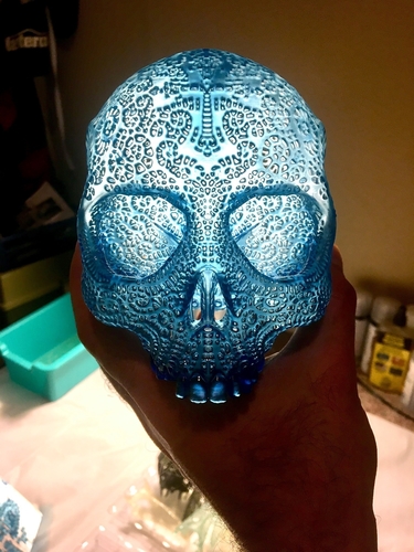 Filigree Anatomical Skull 3D Print 386924