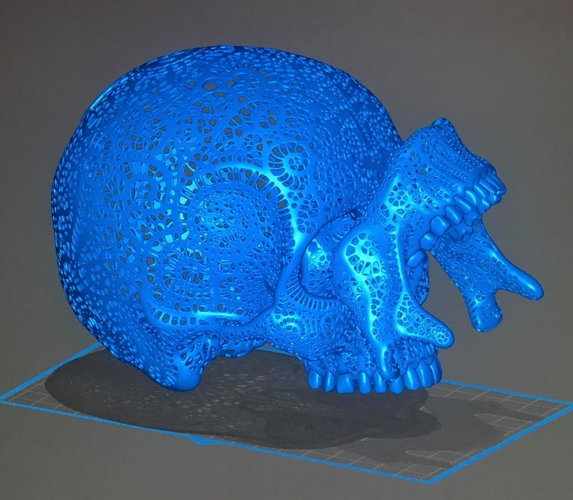 Filigree Anatomical Skull 3D Print 386927
