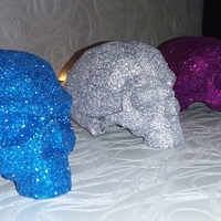 Modern skull - Thumbnail 7