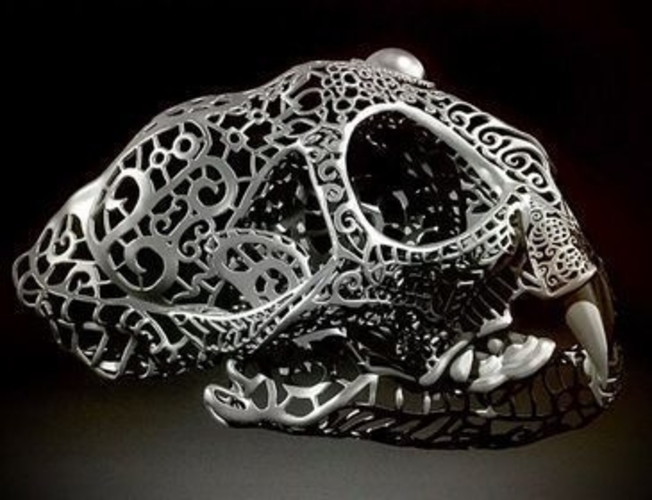 Filigree Anatomical Bobcat Skull 3D Print 387280
