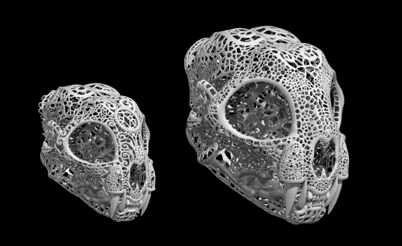 Filigree Anatomical Bobcat Skull 3D Print 387285