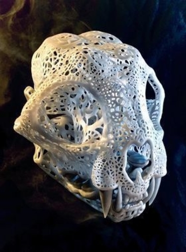 Filigree Anatomical Bobcat Skull 3D Print 387286