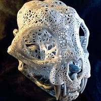 Small Filigree Anatomical Bobcat Skull 3D Printing 387286