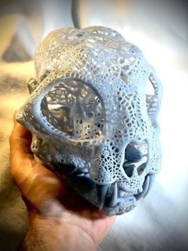 Filigree Anatomical Bobcat Skull 3D Print 387287