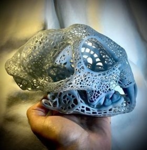 Filigree Anatomical Bobcat Skull 3D Print 387288