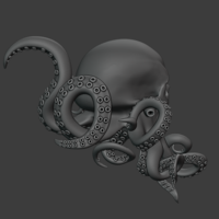 ​Skull-octopus - Thumbnail 5