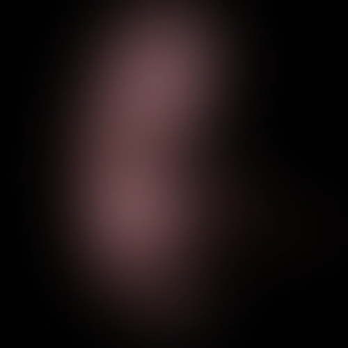 Human Beign - 12 to 14 weeks gestation. E.V.A. VR Project