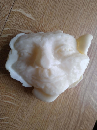 Pulled Face 3D Print 388413