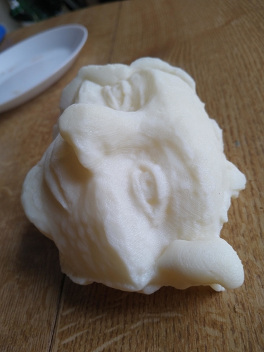 Pulled Face 3D Print 388414