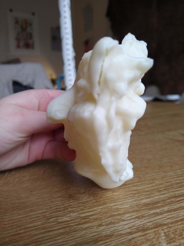 Pulled Face 3D Print 388415