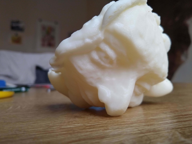 Pulled Face 3D Print 388417