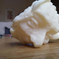 Small Pulled Face 3D Printing 388417