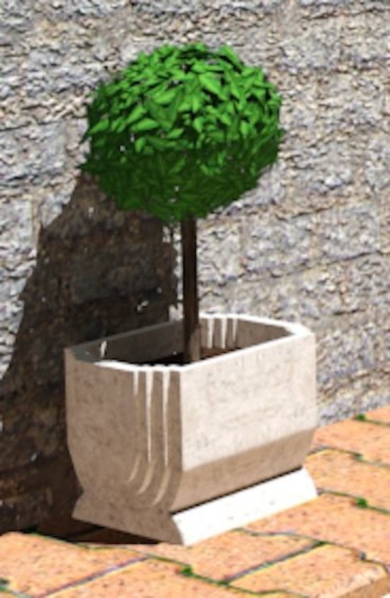 A Pot Plant