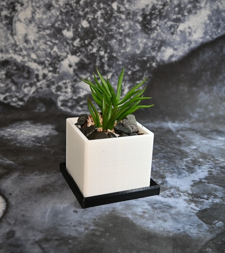 box planter  3D Print 391001