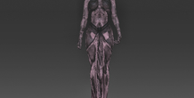 Image 391376