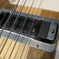 Rickenbacker 4003 Bass Treble Pickup Bezel - Thumbnail 1