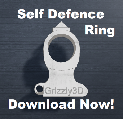 Self-Defence Ring Keychain V2 3D Print 392309