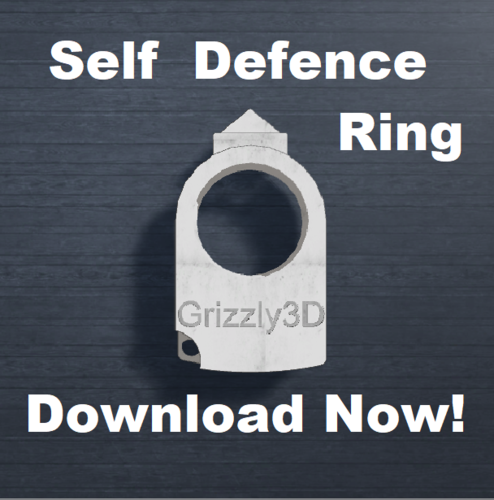 Self-Defence Ring Keychain 3D Print 392310