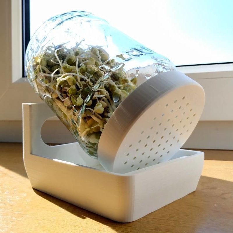 Plant germination bowl