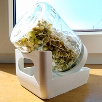 Plant germination bowl - Thumbnail 2