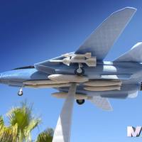 F14 TOMCAT - Thumbnail 2