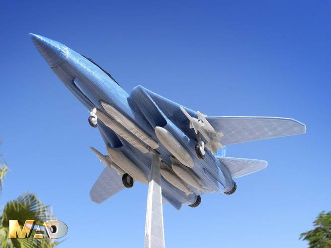 F14 TOMCAT 3D Print 39317