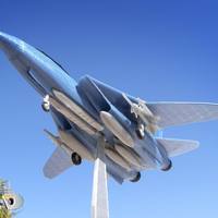 F14 TOMCAT - Thumbnail 3