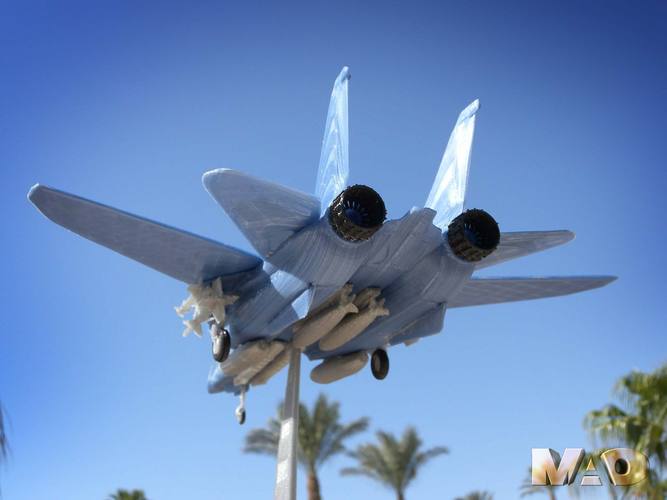 F14 TOMCAT 3D Print 39318