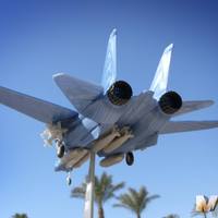 F14 TOMCAT - Thumbnail 4