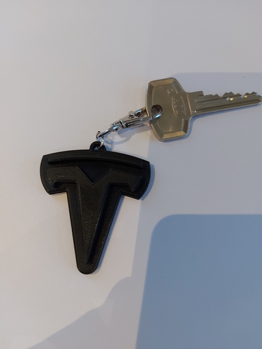 Tesla Keychain