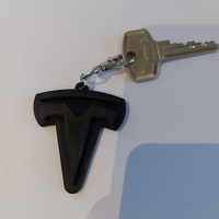 Small Tesla Keychain 3D Printing 393469