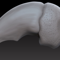 Polar bear claw pendant (4 variations) - Thumbnail 1