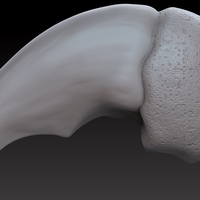 Polar bear claw pendant (4 variations) - Thumbnail 2