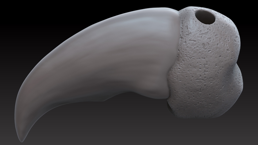 Polar bear claw pendant (4 variations) 3D Print 393484