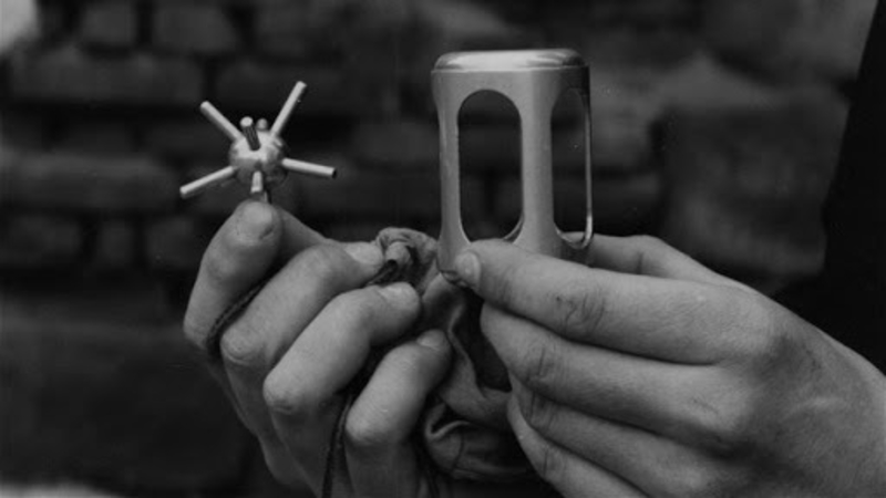 Hedgehog in the cage