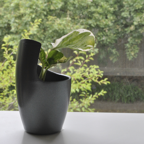Blade pot plant 3D Print 393948