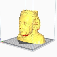 Small Einstein_POT 3D Printing 394230