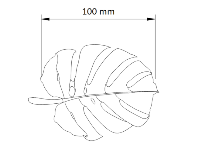 Monstera leaf soap dish 3D Print 394961