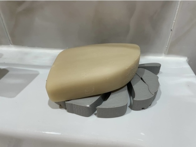 Monstera leaf soap dish 3D Print 394962