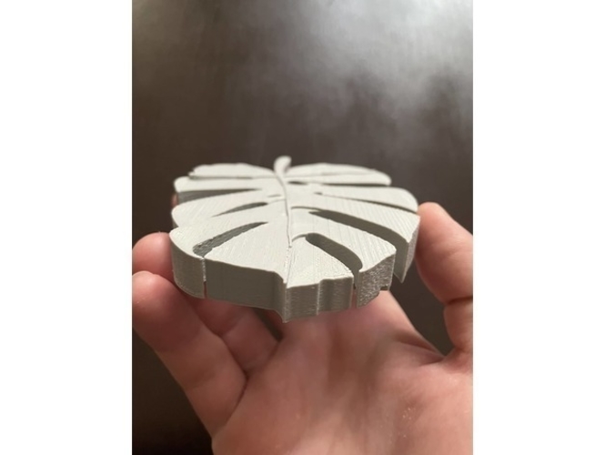 Monstera leaf soap dish 3D Print 394965