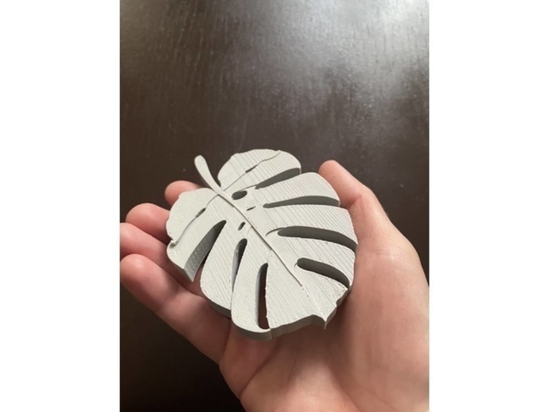 Monstera leaf soap dish