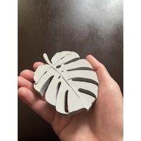 Small Monstera leaf soap dish 3D Printing 394966