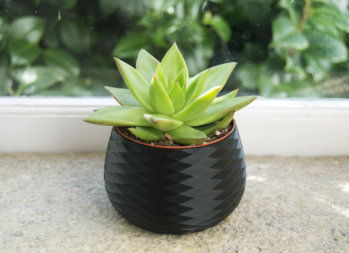 3d print wood plant pot set (4pcs), 3-4 inch small plant pot or