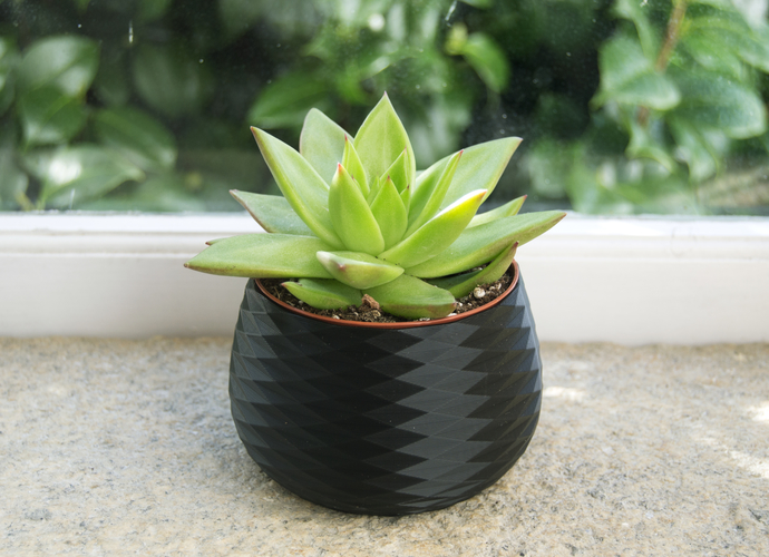 16 PLANTER POT SET - 4 DESIGNS IN 4 SIZES 3D Print 395064