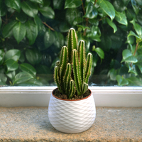 16 PLANTER POT SET - 4 DESIGNS IN 4 SIZES - Thumbnail 9