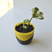 Mini Planter - Thumbnail 1