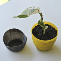 Mini Planter - Thumbnail 3