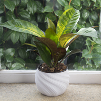Home Decor Pot - Thumbnail 2