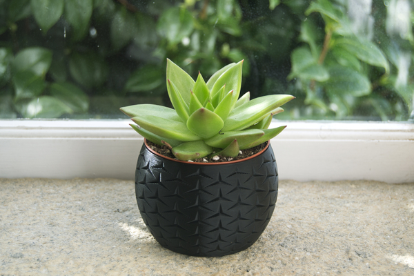 Home Decor Pot