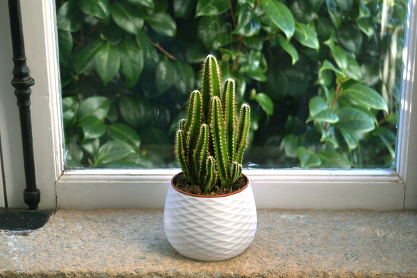 Home Decor Pot